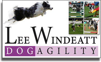 Lee Windeatt dog agility dog training medway maidstone kent dog training kent
