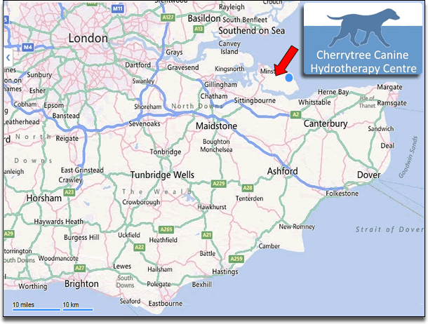 map cherrytree canine hydrotherapy kent maidstone medway towns swimming dogs aquatic treadmill