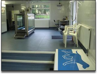 aquatic treadmill area cherrytree canine hydrotherapy kent maidstone medway towns swimming for dogs